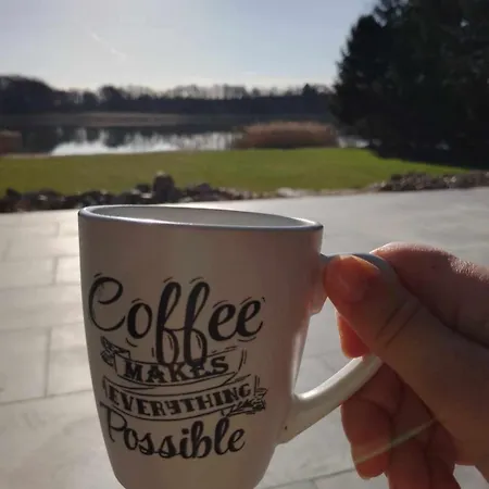 Nowoczesny Dom Z Plaza * Brajniki