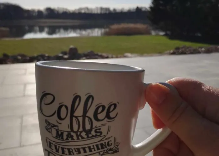 Nowoczesny Dom Z Plaza * Brajniki